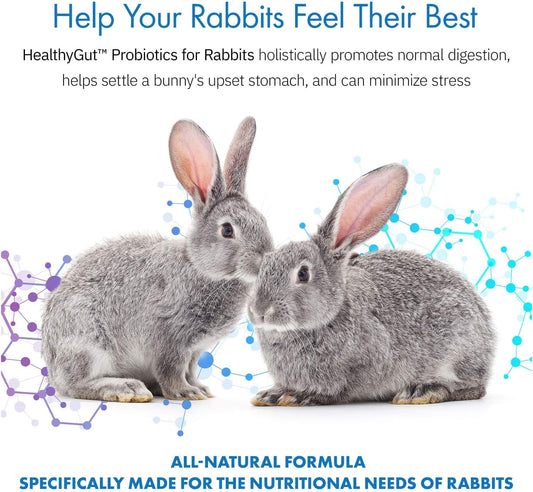 HealthyGut Probiotics for Rabbits Dietary Supplement, All-Natural Digestive System Formula (120 Servings)