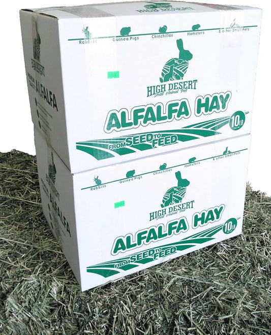 High Desert Alfalfa Hay for Rabbits, Guinea Pigs, Chinchillas & Small Pets β Protein-Rich Natural Hay for Young, Growing Animals β High-Fiber, Hand-Packed, Additive-Free, Grown in USA β 10 lb Box