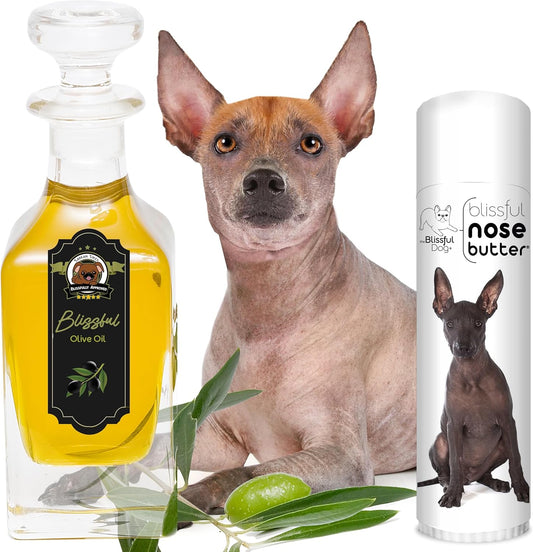The Blissful Dog Xoloitzcuintli Nose Butter for Dry, Cracked Skin, Lick-Safe Dog Nose Balm with Moisturizing Shea Butter, Almond, Olive, and Essential Oils, Pet Supplies, Uncented, 0.50 oz.
