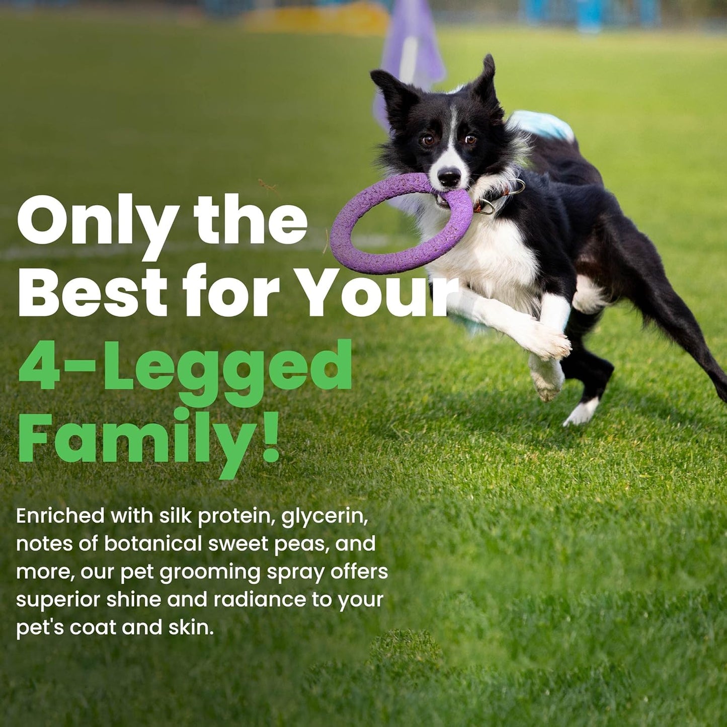 Best Shot UltraMAX Pro Finishing Spray, Ideal Detangler Spray for Pets, Hydrating and Soothing Pet Grooming Spray, for Dogs and Cats, 17 Oz.