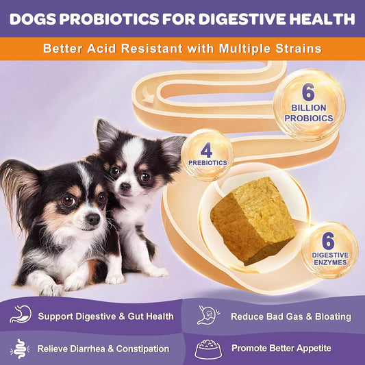 NATURE TARGET Probiotics for Dogs, 6 Billion CFUs, Freeze Dried Dog Probiotics with Prebiotics & Enzymes for Diarrhea, Gas, Vitamins & Omega 3 for Skin & Immune Health, Allergy Itch Relief, 180 Count