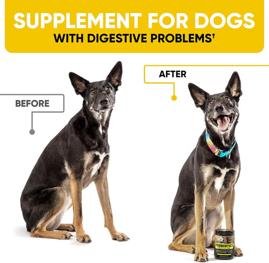 Probiotics Chews for Dogs w/Digestive Enzymes - Dog Probiotics to Support Gut Health, Alleviate Dog Itch, Soothe Itchy Skin, Dog Allergy Relief - Good for Immunity & Dog Itching Skin Relief -180 ct