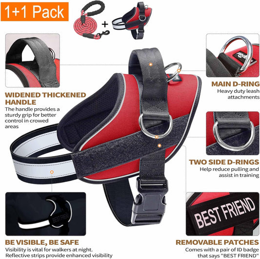 Haapaw Essential Dog Harness, No Pull Pet Vest with 3 Leash Clips, No Choke, Reflective, Adjustable and Padded, for Easy Walking and Training for Small Dogs(S, Red)