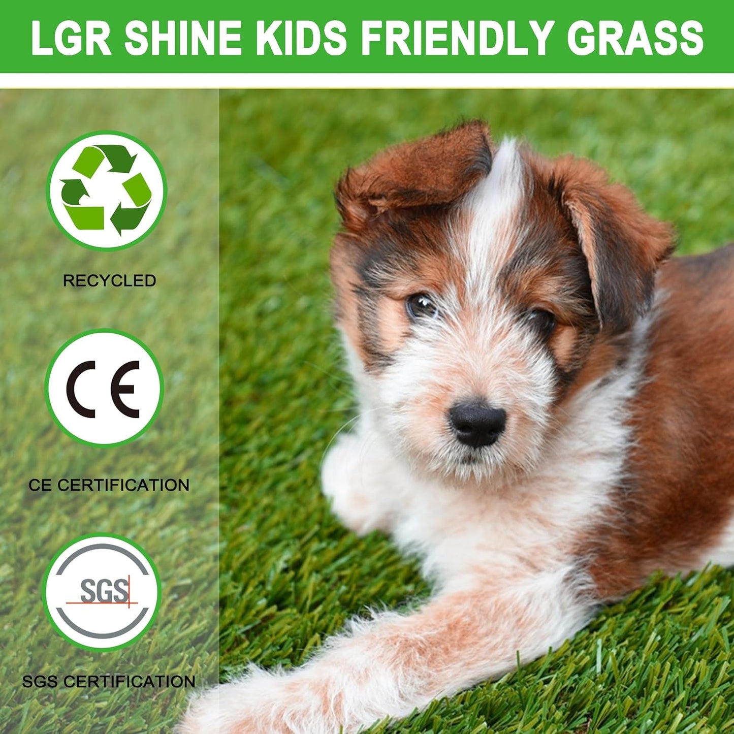 Artificial Grass Turf for Dogs 5 ft x 10 ft, 1.38 Inch Fake Grass Pee Pad for Potty Training, Extra Large Rug for Indoor/Outdoor Patio, Wee Wee Pad, Turf Mat for Pets