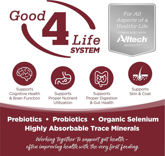 NutriSource Dog Food, Made with Beef and Brown Rice, Wholesome Grains, 5LB, Dry Dog Food