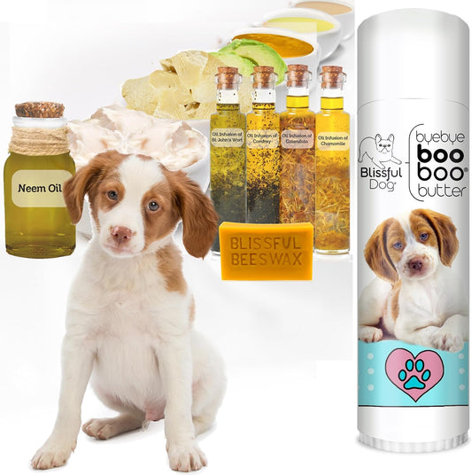 The Blissful Dog .50 oz Tube Brittany Booboo Butter