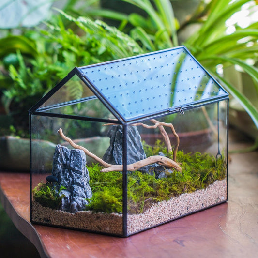 NCYP House Shape Glass Terrarium with Acrylic Lid - 10.2x5.9x8.2 Inches Large Geometric Box for Snails, Ferns, Succulents, Air Plants, Indoor Tabletop Decor, Handmade (Terrarium Only)