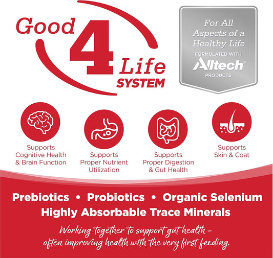 NutriSource Dry Dog Food for Large Breeds, Beef and Rice, 26LB