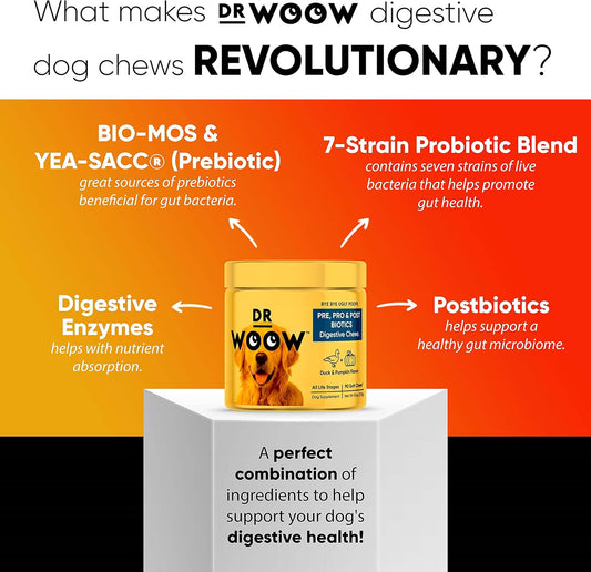 Probiotics for Dogs, Pet Dog Probiotics and Digestive Enzymes, Duck & Pumpkin Flavor Dog Probiotic Supplements, Dog Vitamins Dog Probiotic Chews and Prebiotics for Dogs, Dog Gas Relief