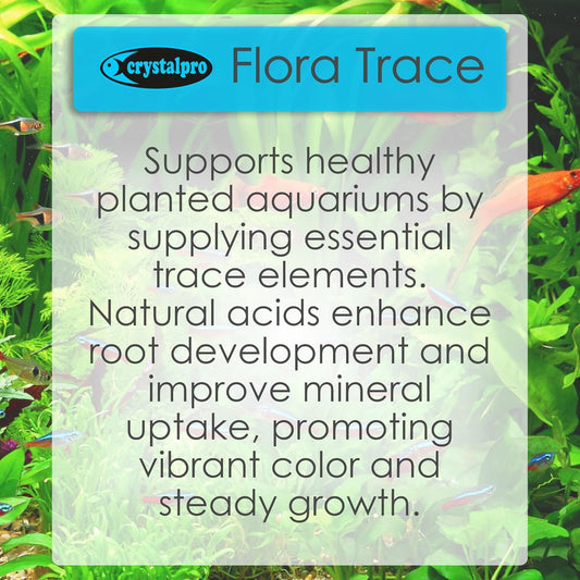 Flora Trace - Trace Element Supplement for Aquarium Plants - Supports Root Development and Mineral Uptake in Freshwater Planted Tanks - Part of The Flora Nutrition Series - 16.9 fl oz