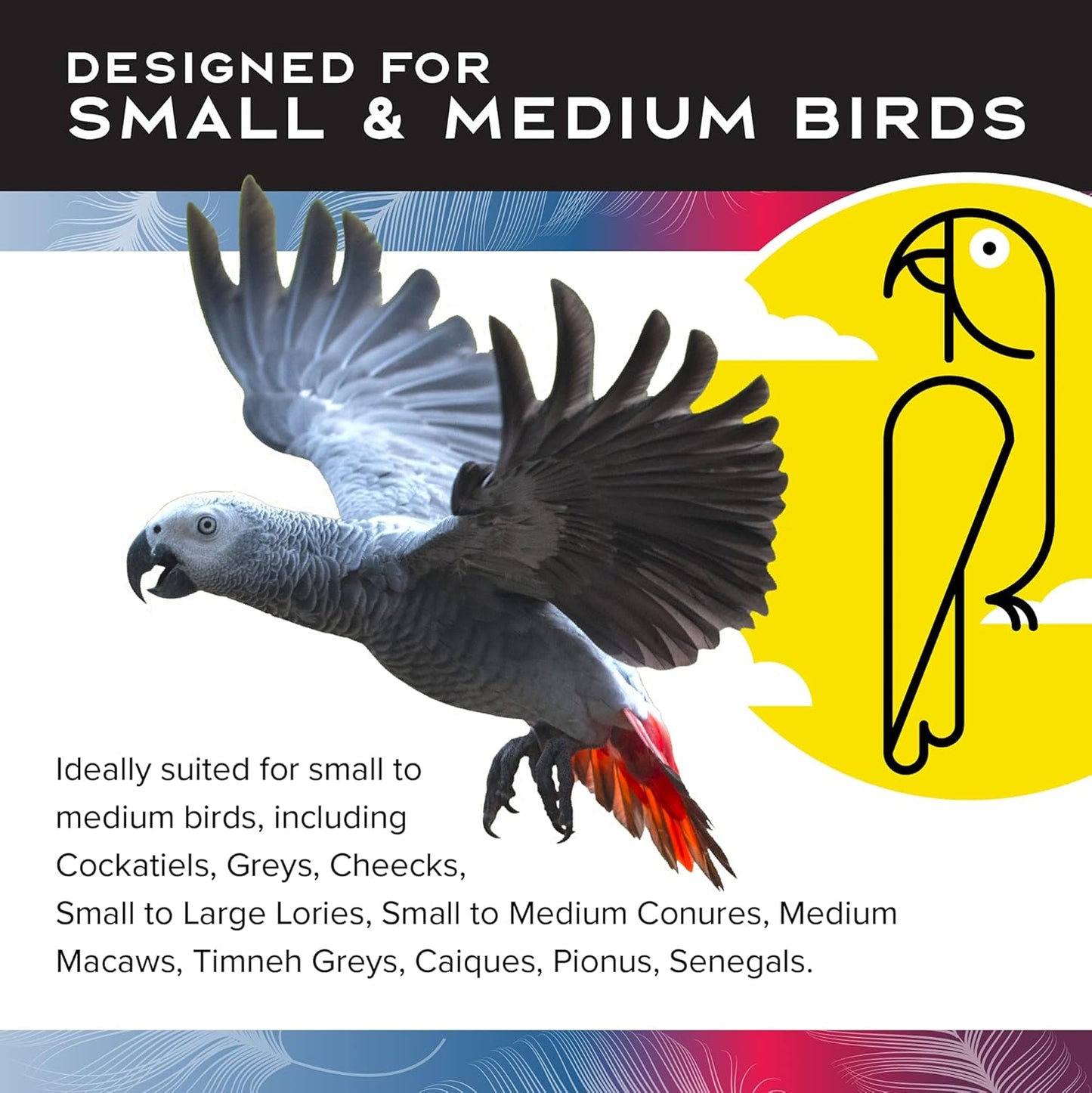 Featherland Paradise Bird Cage Toy, Bird Toys for Parrots, Parakeets, Small and Medium Birds