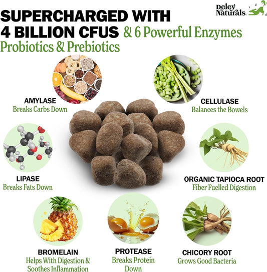 Deley Naturals Dog Probiotic Chews - Dogs Probiotic for Digestive Health with 4 Billion CFUs & Digestive Enzymes - Anti Diarrhea for Dogs - Dog Gut Health Probiotics for Allergies - Made in The USA