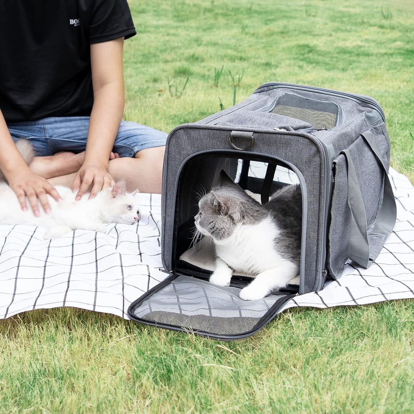 Pet Carrier for Large Cats, Soft-Sided Cat Carrier for Medium Big Cats and Puppy up to 20lbs, Washable Dog Carrier Privacy Protection for Home Outdoor Travel