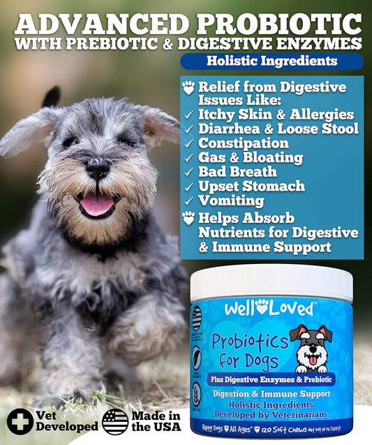 Probiotics for Dogs, Dog Probiotics, Made in USA, Vet Developed for Gut Health, Yeast Balance, Itchy Skin, Diarrhea & Gas Relief, Chews with Prebiotic & Digestive Enzymes, Digestive Support