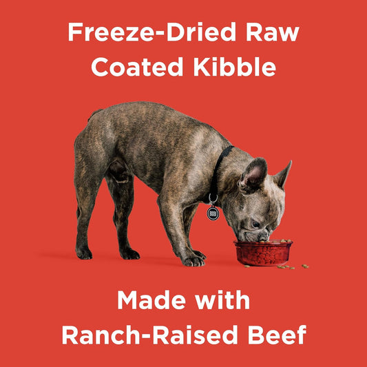 BIXBI Rawbble Dry Dog Food, Beef, 24 lbs - USA Made with No Meat Meals or Fillers - Freeze Dried Raw Coated Dog Food - Industry Leading Digestibility