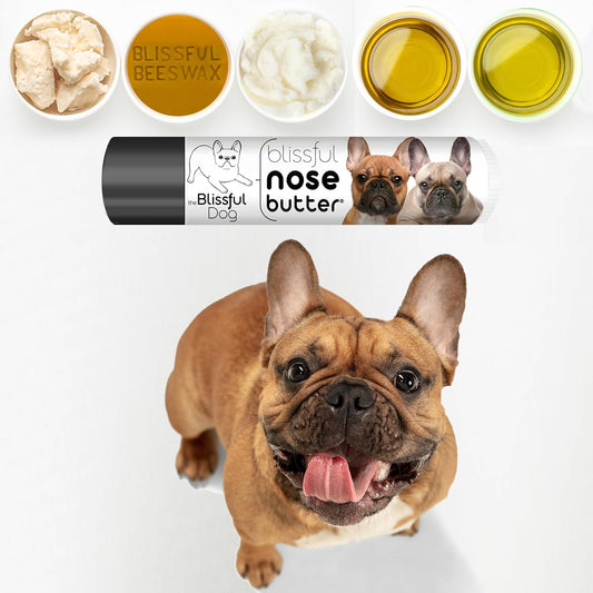 The Blissful Dog French Bulldog Black Masked Fawn Unscented Nose Butter - Dog Nose Butter, 0.15 Ounce