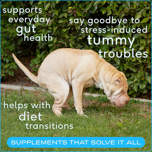 Native Pet Probiotics for Dogs - Dog Probiotics Powder for Digestive Health, Gut Support, & Immune Boost – Vet-Formulated Powder for Maximum Potency with Digestive Enzymes & Prebiotics - 240 Scoops