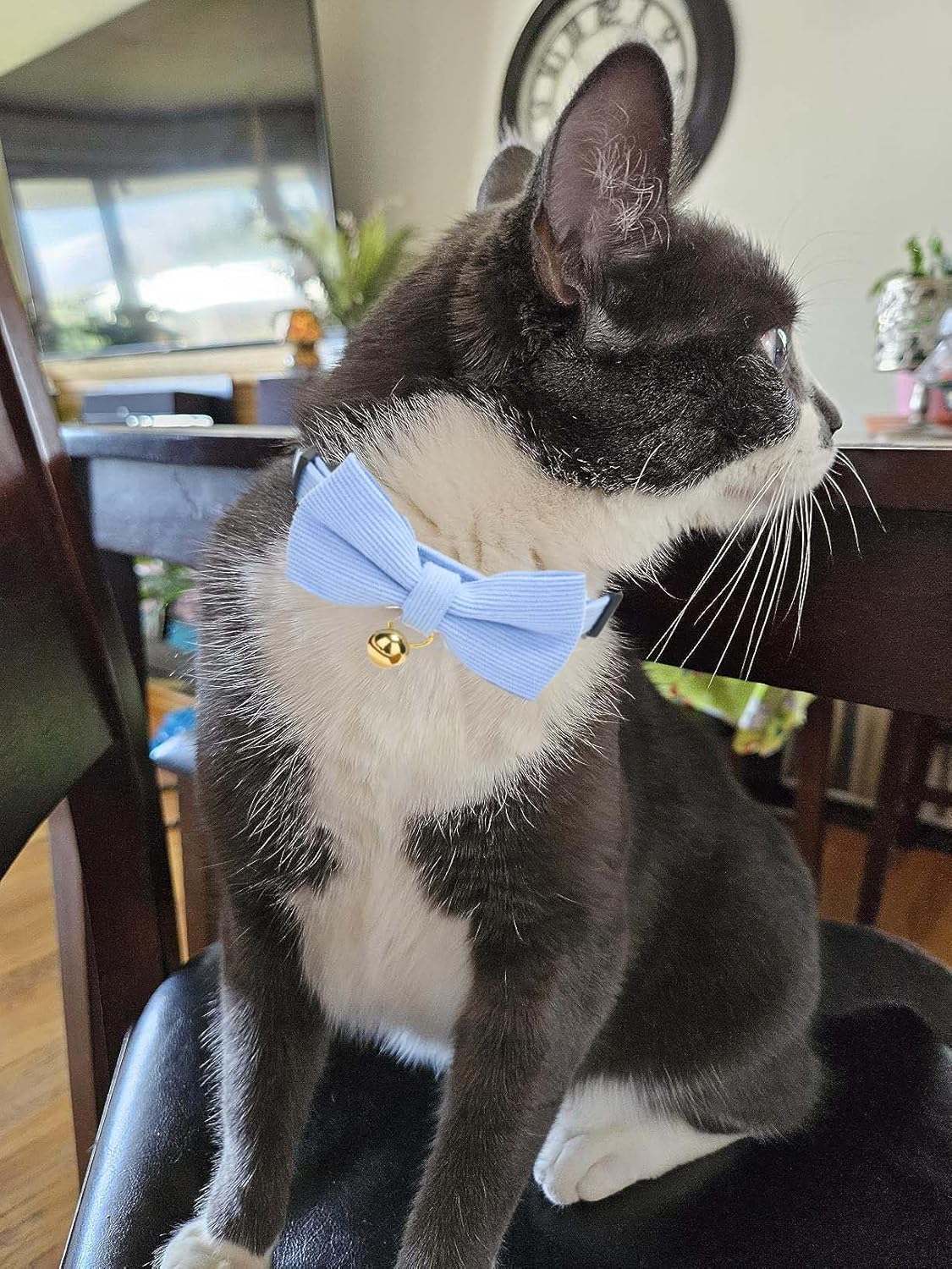 2 Pack Soft Corduroy Cat Collars with Bow Tie & Bell, Adjustable Breakaway Cotton Kitty Bowtie Collar for Female Male Cats(White & Blue)