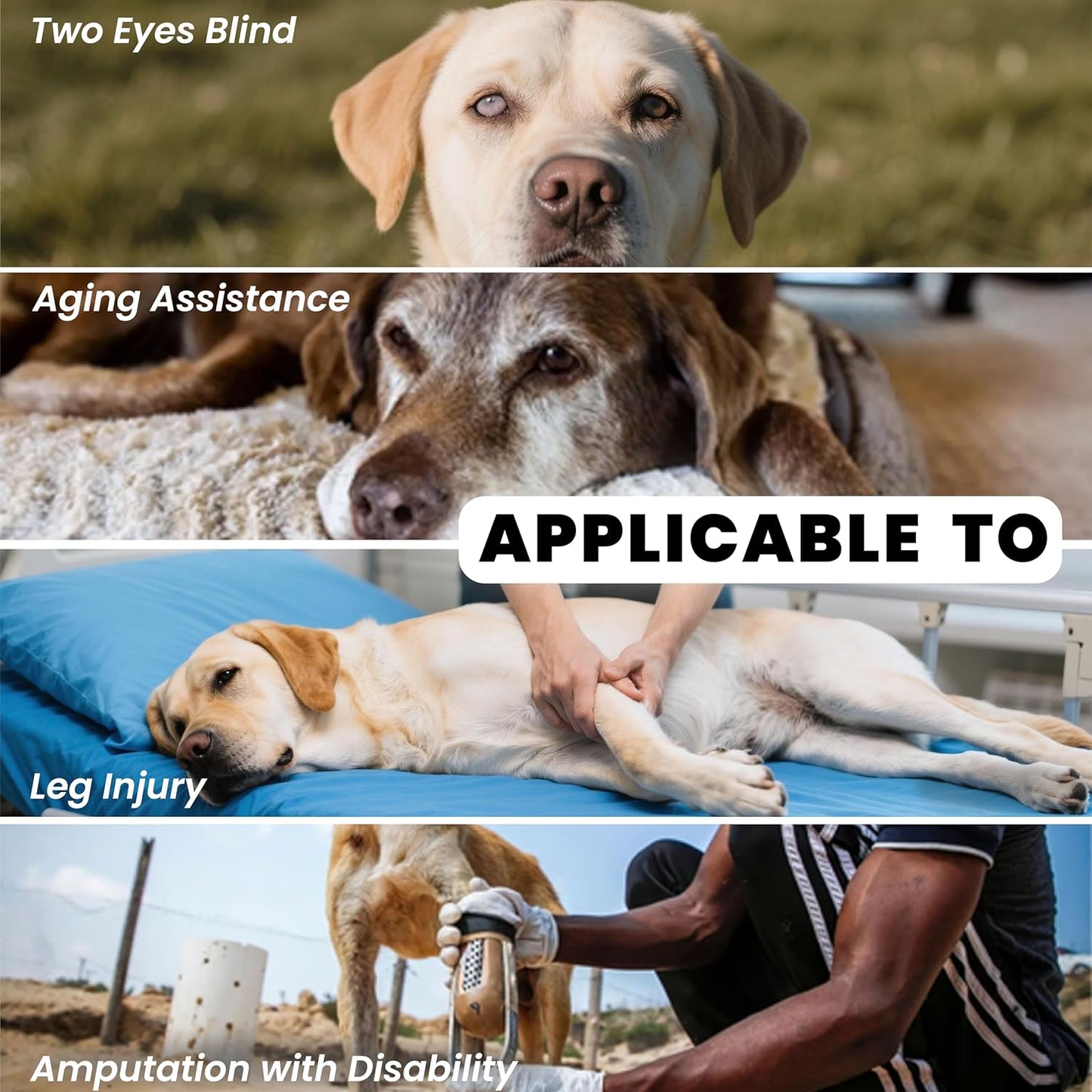 Dog Lift Harness Backpack Carrier for Large Dogs, Full Body Sling with Handle, Dog Harness for Joint Injuries, Arthritis, Ideal for Stairs, Elderly Dogs (Black XX-Large 50-66 LBS)