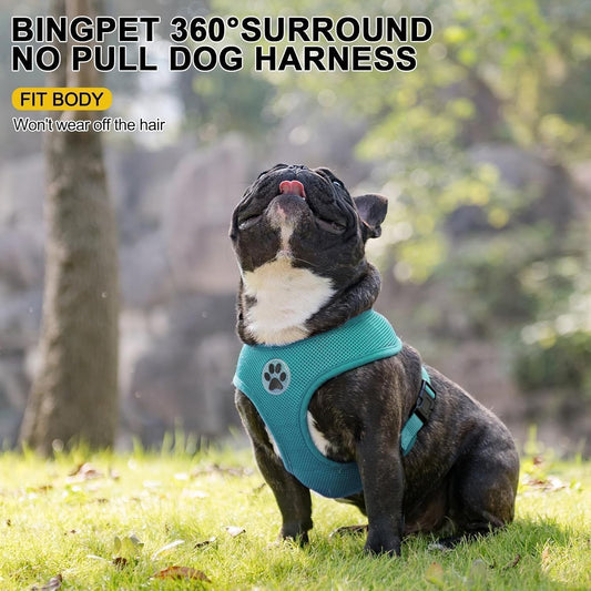 BINGPET Small Dog Harness - Breathable Mesh Puppy Cat Harnesses - No Pull Adjustable Dog Harness Dog Vest Harness for Small and Medium Dogs