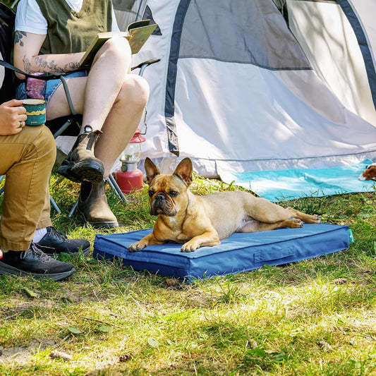 FurHaven Cooling Dog Bed β Medium Foam Mattress for Joint Pain Relief, Waterproof Liner, Removable Washable Cover, Durable for Outdoor Use, Deluxe Grid Indoor/Outdoor Bed β Blue, Medium