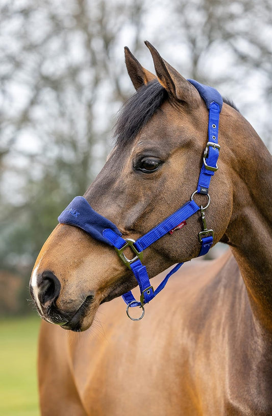 LeMieux Vogue Fleece Headcollar - Halter & Leadrope - Extra Padding, Adjustable at Curb and Poll Strap