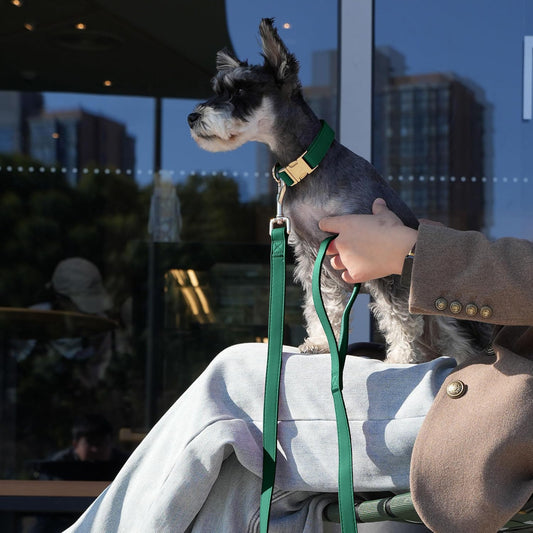 PET ARTIST Soft PU Leather Dog Collar, Bright Color & Durable Dog Collar Leather with Rose Gold Quick Release Metal Buckle, Adjustable Nylon Padded Pet Collars for Medium Dogs, Neck Fit 13-19"