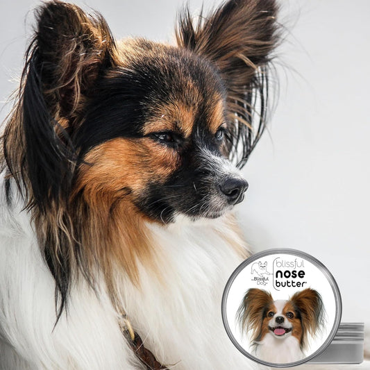 The Blissful Dog Papillon Unscented Nose Butter - Dog Nose Butter, 1 Ounce