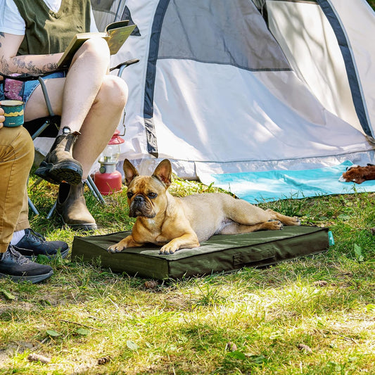 FurHaven Cooling Dog Bed β Medium Foam Mattress for Joint Pain Relief, Waterproof Liner, Removable Washable Cover, Durable for Outdoor Use, Deluxe Grid Indoor/Outdoor Bed β Green, Medium