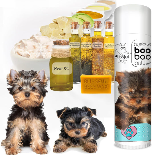 The Blissful Dog .50 oz Tube Yorkshire Terrier Booboo Butter