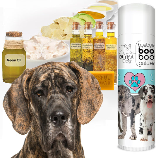 The Blissful Dog .50 oz Tube Great Dane Booboo Butter