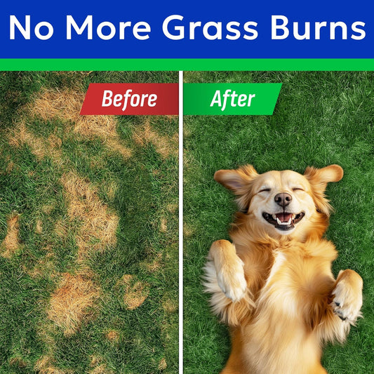 BARK&SPARK Green Grass Chews - Pee Grass Spot Saver Caused by Dog Urine - Urine Neutralizer for Lawn, Gut Health Probiotics & Digestive Enzymes,Lawn Burn from Dog Urine, Grass Burn Spot Chews (240Ct)