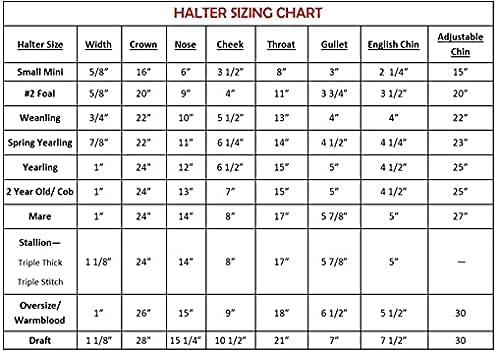 Leather Halter for Horses with Customized Engraved Name Plate Option Halter for Horse | Brown/Brass, Padded Halter (Blue or Green) Black/Brass, Black/Chrome Options