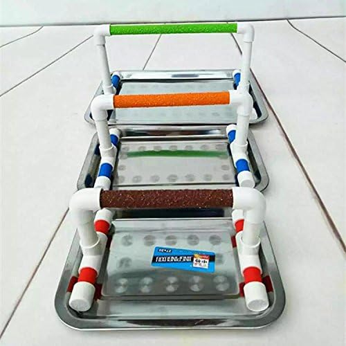 Small Bird Parrot Stand Perch Table Top Stand Playground Grind Perch Swing Training Playstand Exercise Chew Toys for Budgies Parakeet Cockatiel Conure Finch (Stainless Steel Tray, M)