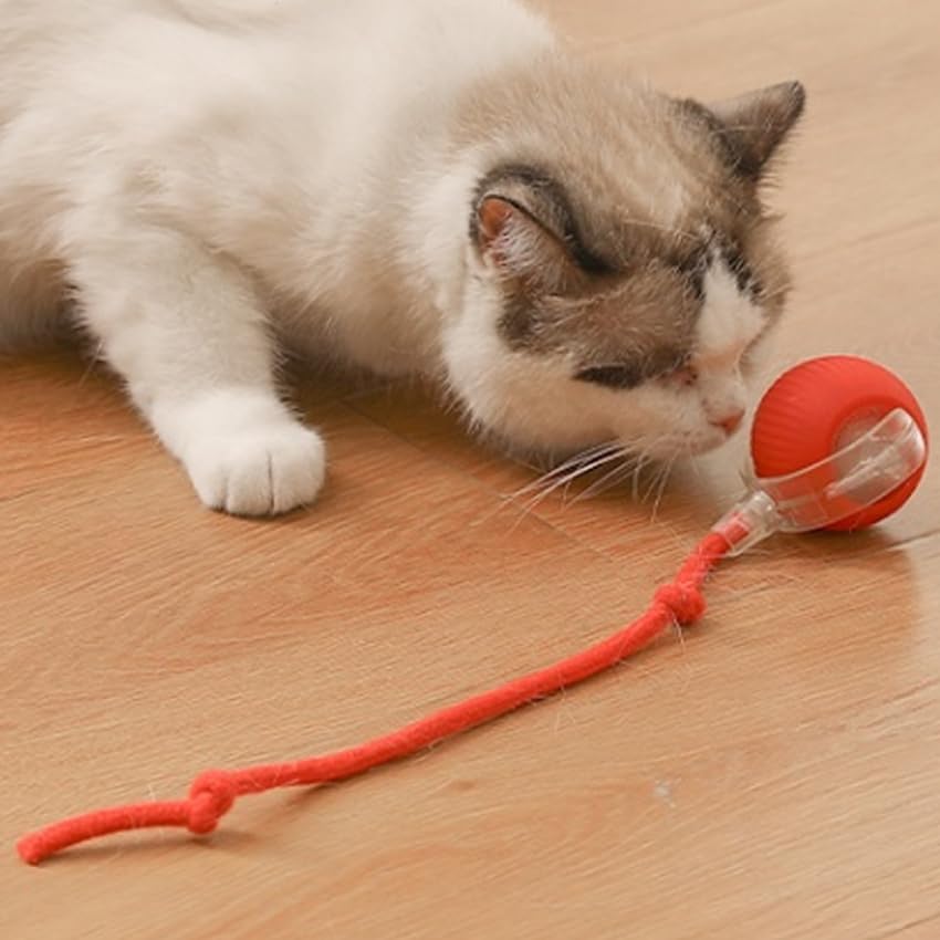 Cat Toy Ball with Tail Rope, Smart Rolling Ball, LED Light, Electric Self-Rolling Pet Toy, Interactive Cat Jumping Ball, Automatic Cat Teaser Ball, Small Dog Toy, Pet Excercise, Cat Activity (Red)