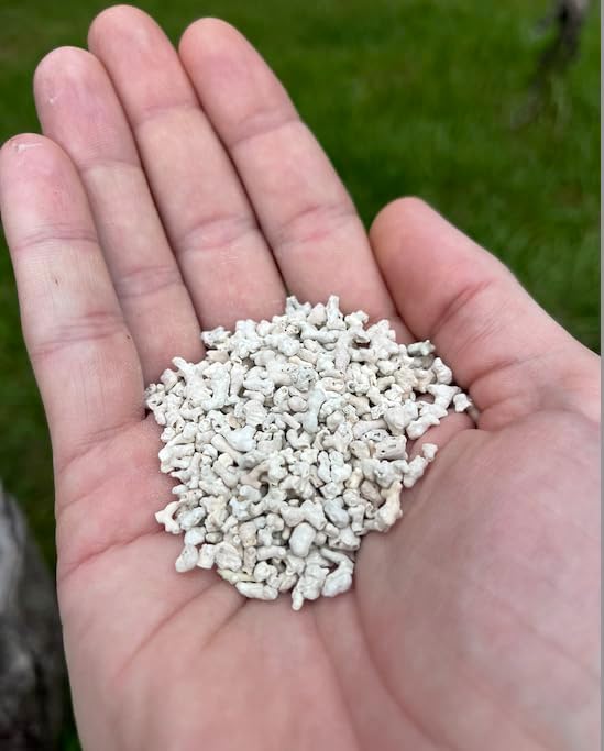 LitChicks’ Calcified Seaweed for Laying Chickens - Crushed Oyster Shell Alternative - Highly Digestible - Single Ingredient - Helps with Egg Laying & Flock Health. (5lbs)