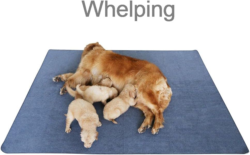 Peepeego 2PCS Dog Training Pads 72" x 72", Reusable, Waterproof , Non Slip - Premium Whelping Pad Washable for Puppy Playpen, Crate