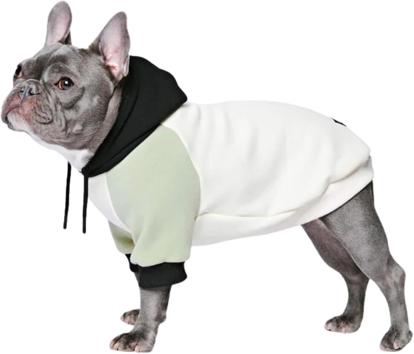 Spark Paws Dog Hoodie – Premium Dog Sweater for Small, Medium, and Large Dogs | Warm Outfits for French Bulldogs, Pitbull, Puppy, Winter Jacket Alternative - Olive Cream - L