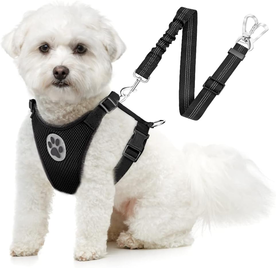 SlowTon Dog Seat Belt Harness for Car, Dog Car Harness Adjustable Mesh Breathable & Dog Seatbelt Safety Tether with Elastic Bungee for Small Medium Large Pets(Black, Double Clip, XXXS)