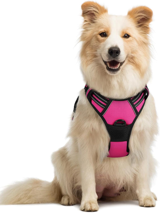 rabbitgoo Dog Harness No Pull with 2 Leash Clips, Adjustable Soft Padded, Reflective Oxford No Choke Pet Vest with Easy Control Handle for Medium Sized Dogs, Hot Pink, M