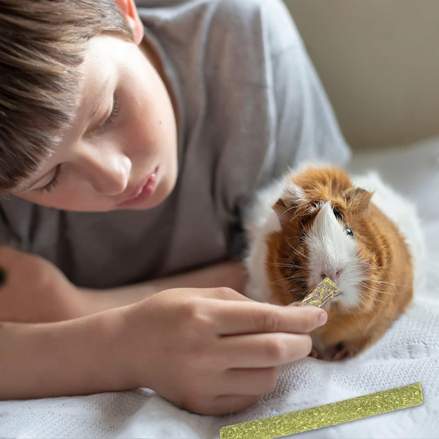 Sofier Timothy Hay Sticks - 44Pcs Natural Chews for Teeth - Handmade Rabbit & Guinea Pig Toys - Chinchilla, Rat, Hamster, Gerbil