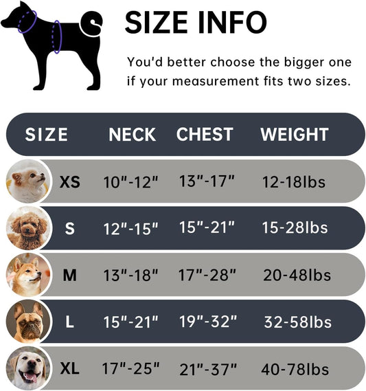 IVY&LANE No Pull Dog Harness with Leash Set, Reflective No Choke Pet Vest,Adjustable Oxford Dog Vest Harness with Easy Control Handle for Medium Dogs (Vintage Blue,M)