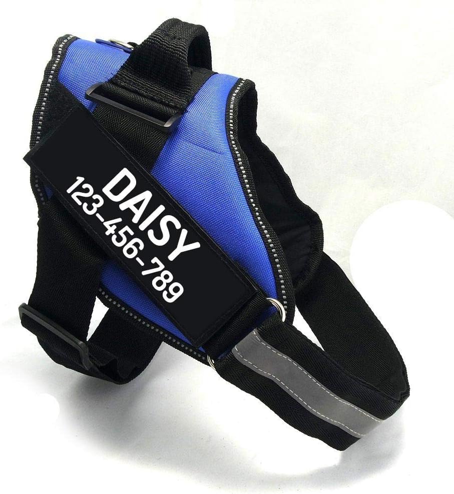 PawPawify Custom No Pull Dog Harness with Name and Phone Number, Heavy Duty Personalized Pet Vest to Prevent Tugging, Pulling, or Choking, Training and Walking (Blue, XL (60-85 LBS))