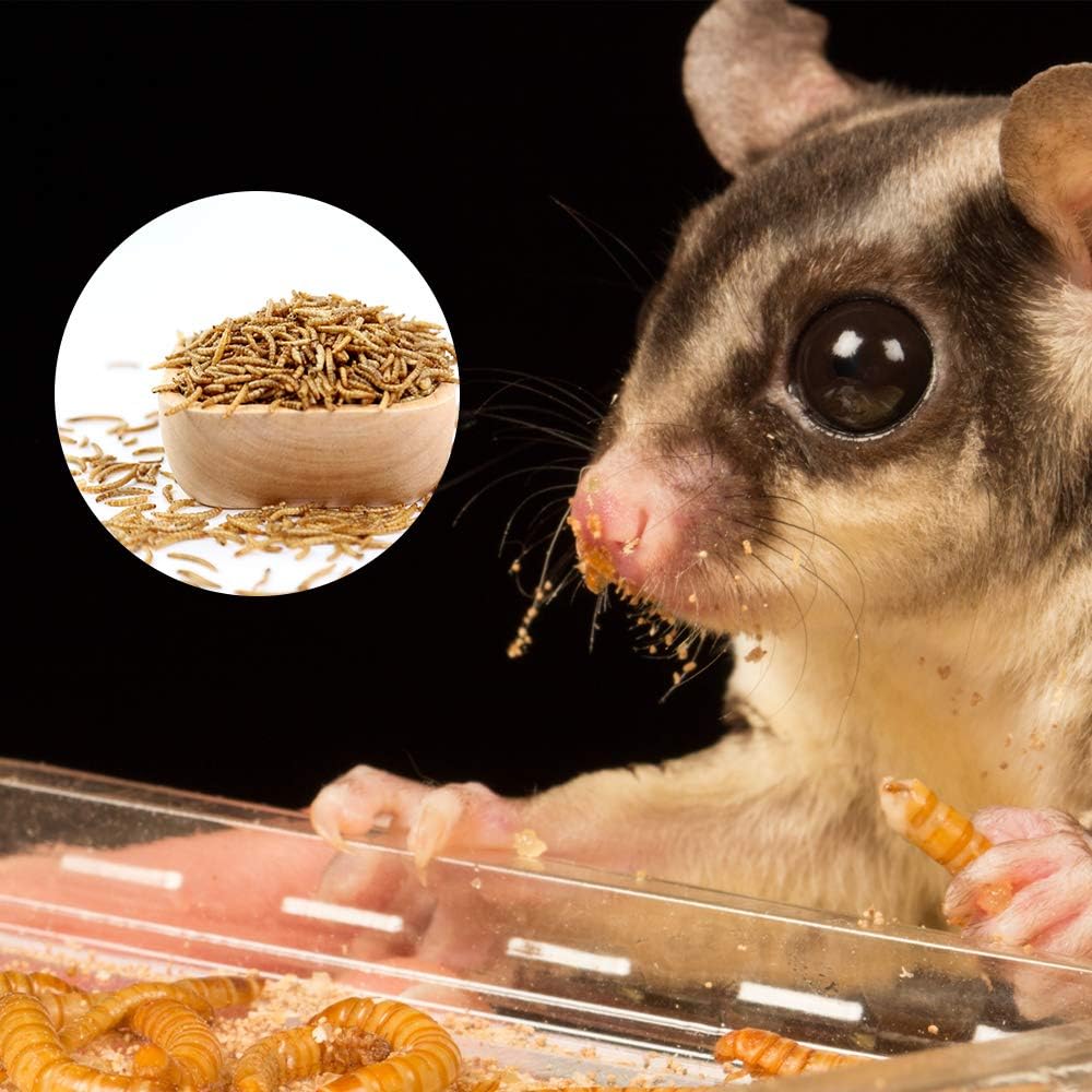 Bulk Dried Mealworms, High-Protein Dried Mealworms 44Lbs, 100% Non-GMO Mealworm Treats for Birds, Chickens, Turtles, Fish, Hamsters and Hedgehogs All Natural Animal Feed