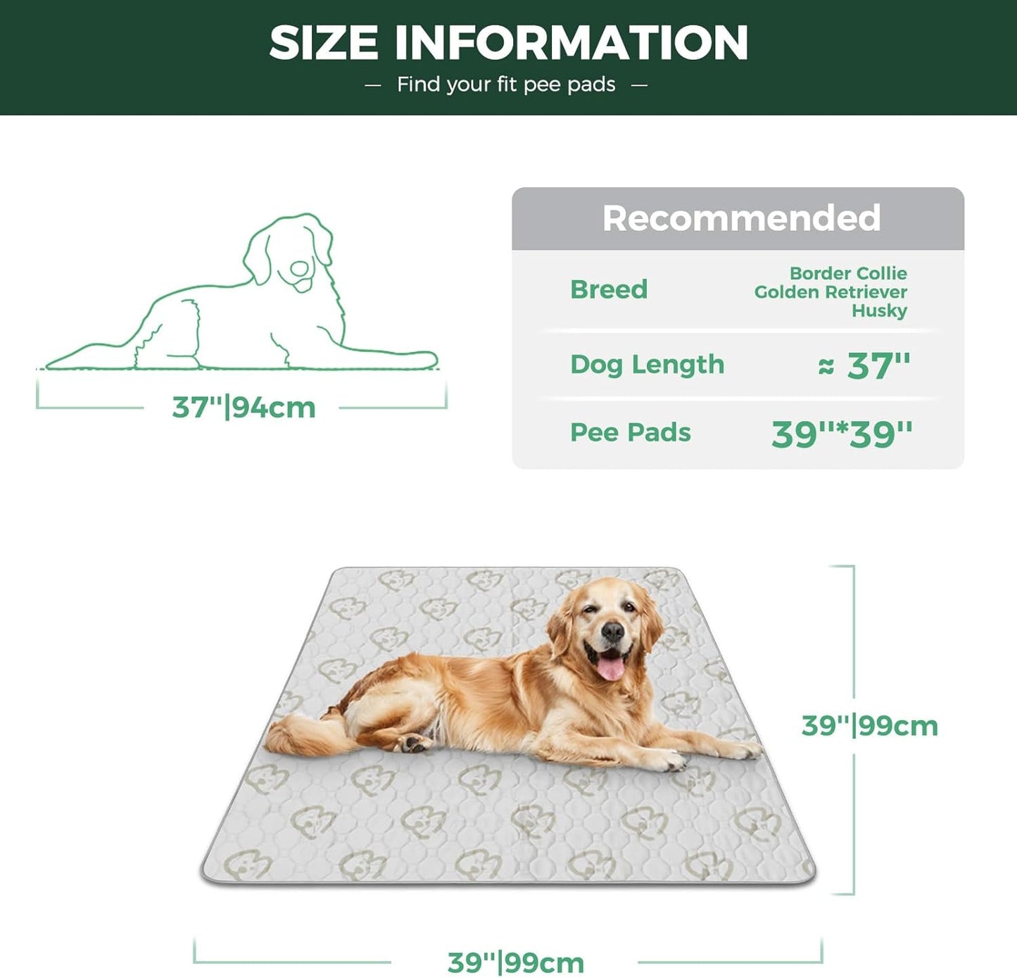 FXW Washable Pee Pads for Dogs, Puppy Pads with Super Absorbent, Specifically Designed for Potty Training, 39" Square, Khaki, 1 Pack