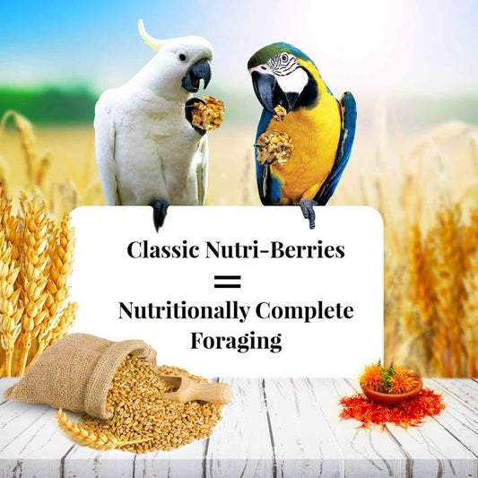 LAFEBER'S Classic Nutri-Berries Pet Bird Food, Made with Non-GMO and Human-Grade Ingredients, for Parrots, 14 lb