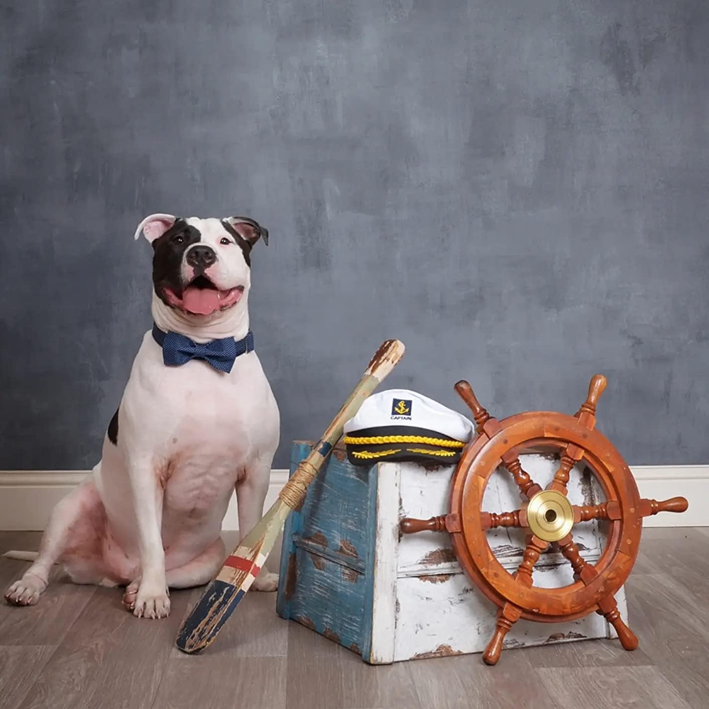 Lionet Paws Boy Dog Collar with Bowtie, Comfortable Adjustable Cute Navy Blue Bow Tie Collar for Male Dogs Gift, Small, Neck 10-16 inches