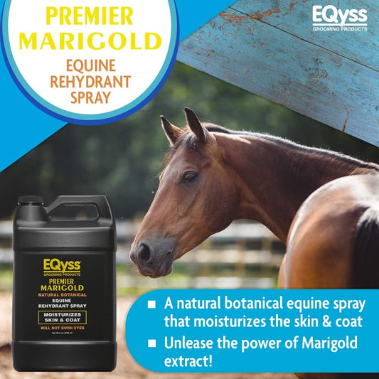 EQyss Premier Marigold Equine Coat Conditioning Spray - Moisturize Horse's Skin & Coat, Add Shine, Detangle, Repel Dirt & Dust, Silicone-free (128 oz)