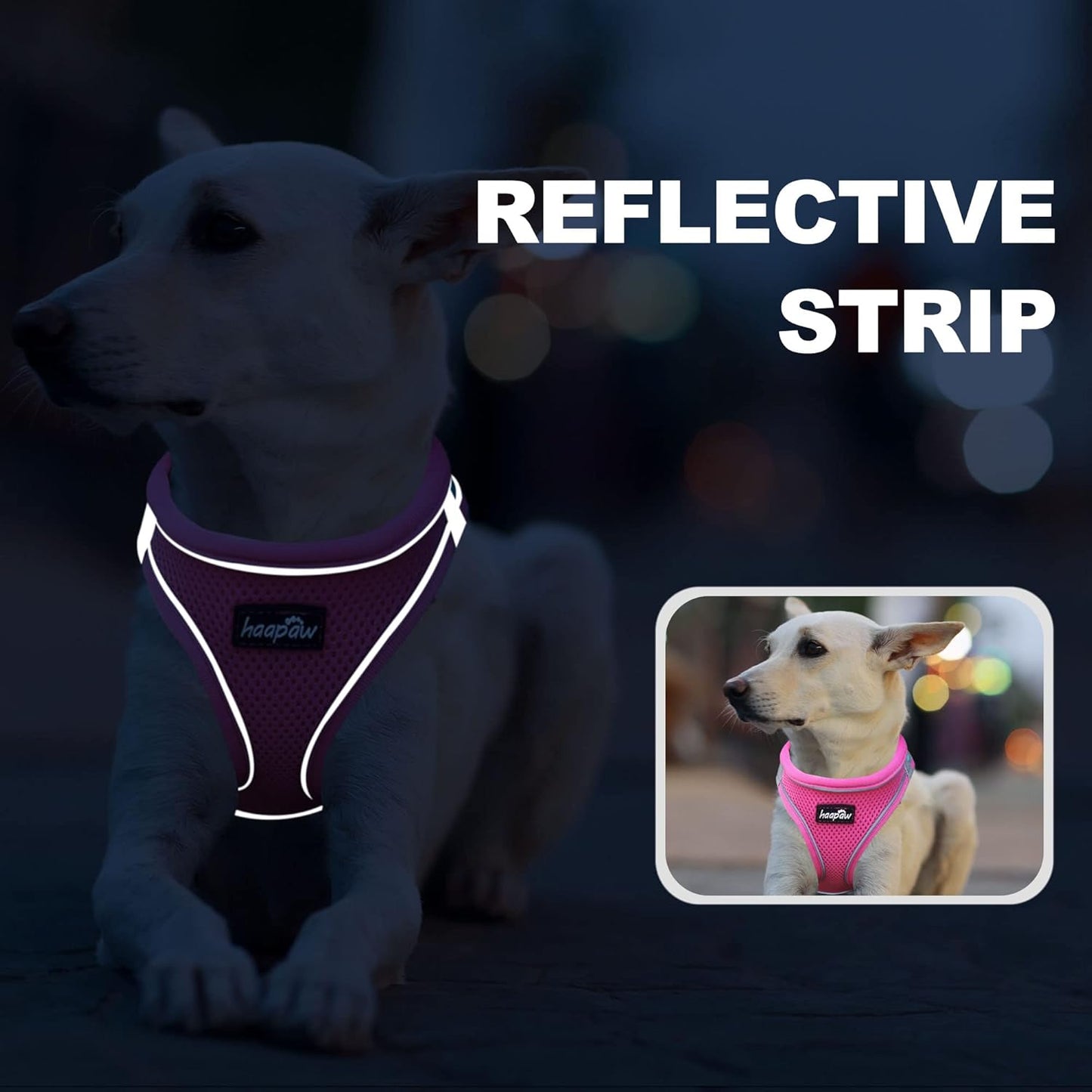 haapaw Dog Harness with Leash Set, No Pull Adjustable Reflective Step-in Puppy Harness with Thickened Padded Vest for Extra-Small/Small Medium Dogs