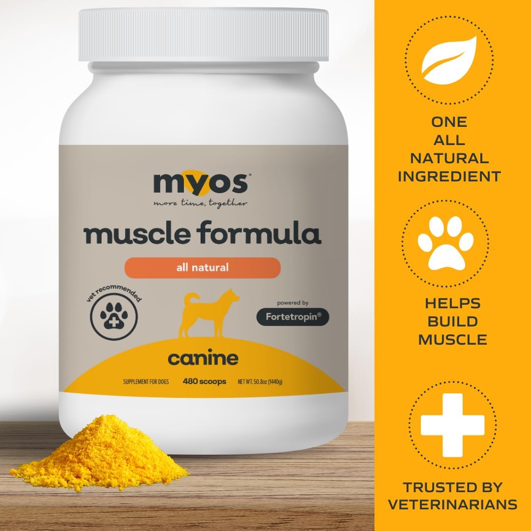 MYOS Canine Muscle Formula - All-Natural Muscle Building Supplement - Helps Reduce Muscle Loss in Aging Dogs and Improve Recovery from Injury or Surgery